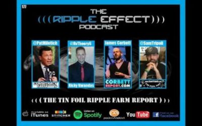 The Ripple Effect Podcast #177 (Corbett Report, Tin Foil Hat, & The Conspiracy Farm | SwapCast 2)