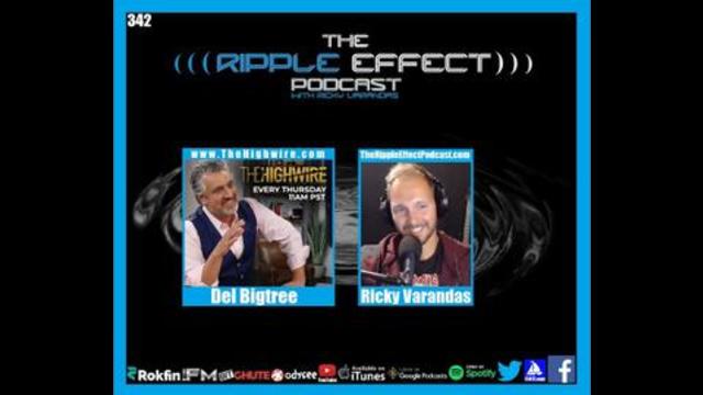 The Ripple Effect Podcast #342 (Del Bigtree | Correcting The COVID Misinformation)