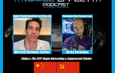 The Ripple Effect Podcast #403 (Mitchell Gerber | China & The CCP: Organ Harvesting & Suppressed Stories)